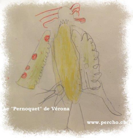 PERCHO-CAROUGE ©