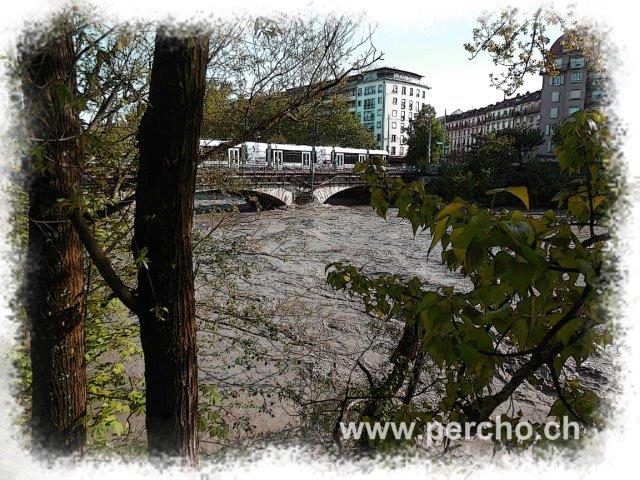 PERCHO-CAROUGE ©