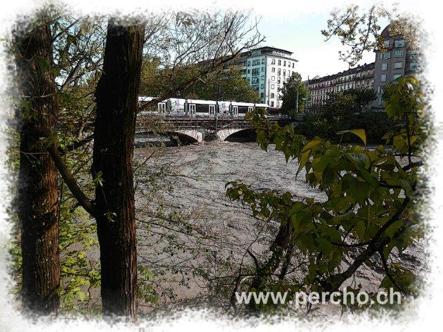 PERCHO-CAROUGE ©