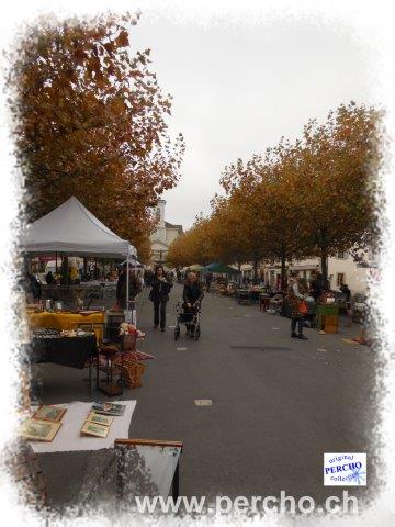 PERCHO-CAROUGE ©