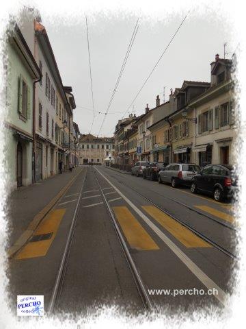 PERCHO-CAROUGE ©