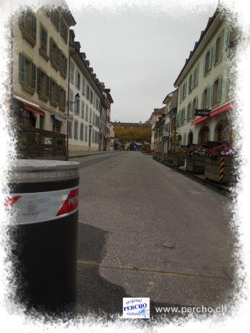 PERCHO-CAROUGE ©