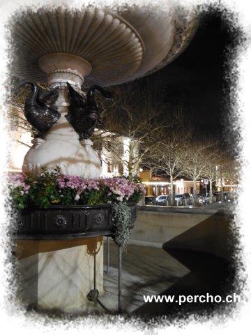 PERCHO-CAROUGE ©